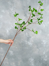 Load image into Gallery viewer, 44" Real Touch Faux Aglaia Odorata Tree Branch Stem