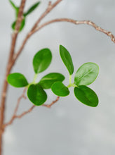 Load image into Gallery viewer, 44" Real Touch Faux Aglaia Odorata Tree Branch Stem