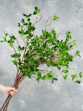 Load image into Gallery viewer, 44" Real Touch Faux Aglaia Odorata Tree Branch Stem