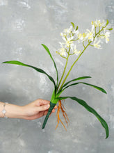 Load image into Gallery viewer, Faux Dendrobium Orchid Plant - White
