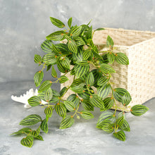 Load image into Gallery viewer, 18" Faux Hanging Plant - Green