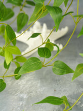 Load image into Gallery viewer, 27" Clematis Garland Hanging Vine - Set of 2