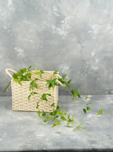 Load image into Gallery viewer, 27" Clematis Garland Hanging Vine - Set of 2