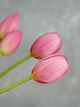 Load image into Gallery viewer, 5 Stems Faux Tulip - Mauve