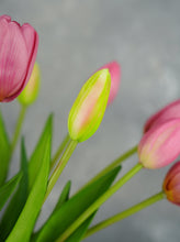 Load image into Gallery viewer, 5 Stems Faux Tulip - Mauve