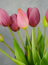 Load image into Gallery viewer, 5 Stems Faux Tulip - Mauve