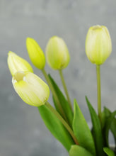 Load image into Gallery viewer, 5 Stems Faux Tulip - White