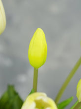 Load image into Gallery viewer, 5 Stems Faux Tulip - White