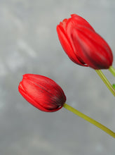 Load image into Gallery viewer, 5 Stems Faux Tulip - Red