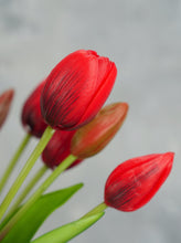 Load image into Gallery viewer, 5 Stems Faux Tulip - Red