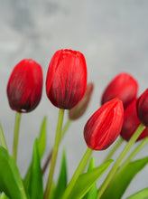 Load image into Gallery viewer, 5 Stems Faux Tulip - Red