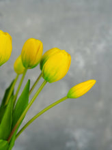 Load image into Gallery viewer, 5 Stems Faux Tulip - Yellow