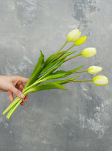 Load image into Gallery viewer, 5 Stems Faux Tulip - White
