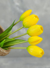 Load image into Gallery viewer, 5 Stems Faux Tulip - Yellow