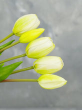 Load image into Gallery viewer, 5 Stems Faux Tulip - White