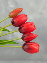 Load image into Gallery viewer, 5 Stems Faux Tulip - Red