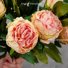 Load image into Gallery viewer, 2 Heads Dried Look Peony - Light Pink