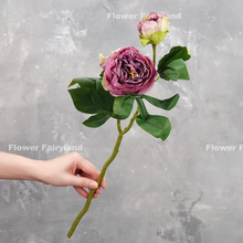 Load image into Gallery viewer, 2 Heads Dried Look Peony - Purple