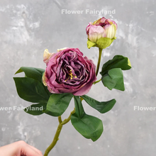 Load image into Gallery viewer, 2 Heads Dried Look Peony - Purple