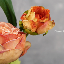 Load image into Gallery viewer, 2 Heads Dried Look Peony - Orange