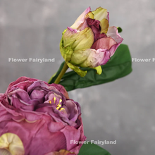 Load image into Gallery viewer, 2 Heads Dried Look Peony - Purple