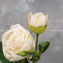Load image into Gallery viewer, 2 Heads Dried Look Peony - White