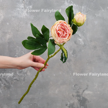 Load image into Gallery viewer, 2 Heads Dried Look Peony - Light Pink