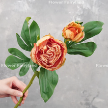 Load image into Gallery viewer, 2 Heads Dried Look Peony - Orange