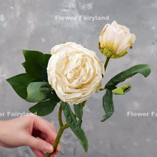 Load image into Gallery viewer, 2 Heads Dried Look Peony - White