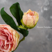 Load image into Gallery viewer, 2 Heads Dried Look Peony - Light Pink