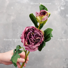 Load image into Gallery viewer, 2 Heads Dried Look Peony - Purple