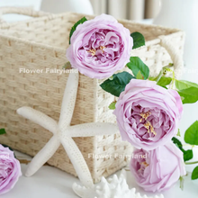 Load image into Gallery viewer, Real Touch Latex David Austin Rose - Light Purple