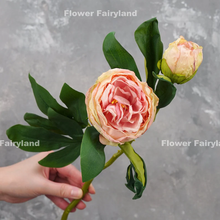 Load image into Gallery viewer, 2 Heads Dried Look Peony - Light Pink