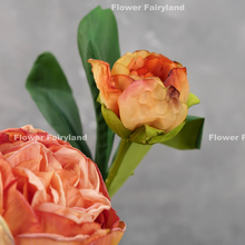 Load image into Gallery viewer, 2 Heads Dried Look Peony - Orange