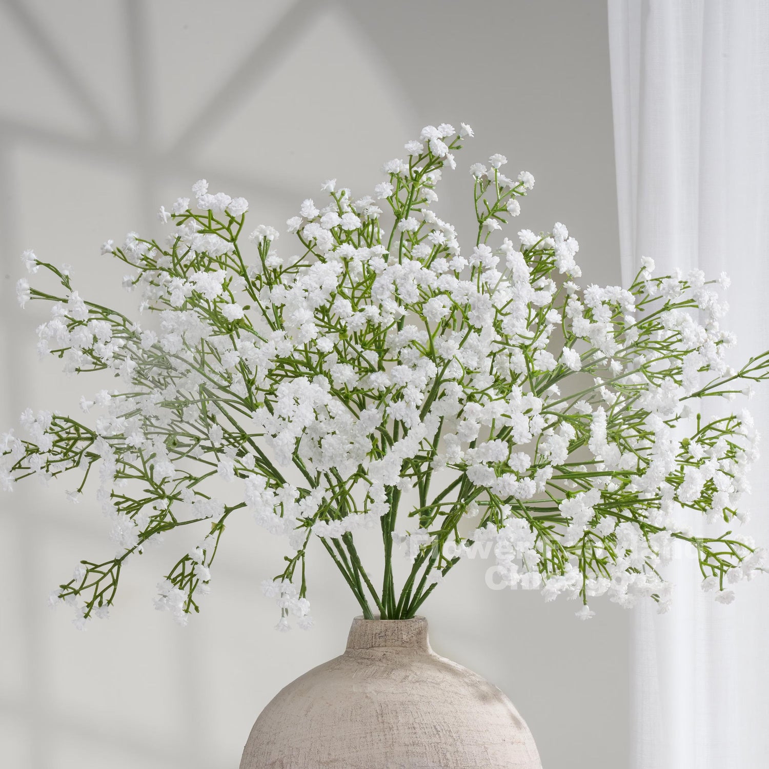 Baby's Breath