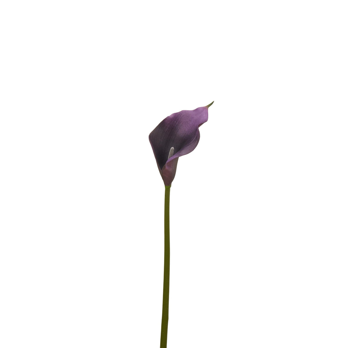 Natural Touch Faux Calla Lily Stem - Dark Purple