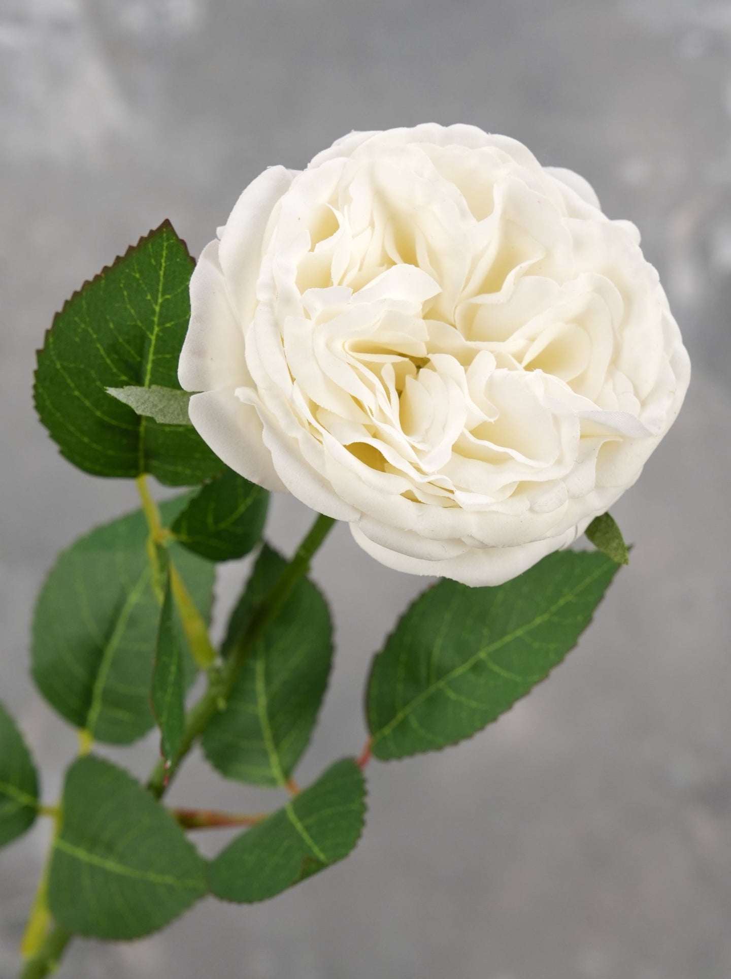 Real Touch English Rose Stem - White