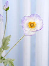 Load image into Gallery viewer, 4 Heads Faux Poppy - Light Lavender Edge
