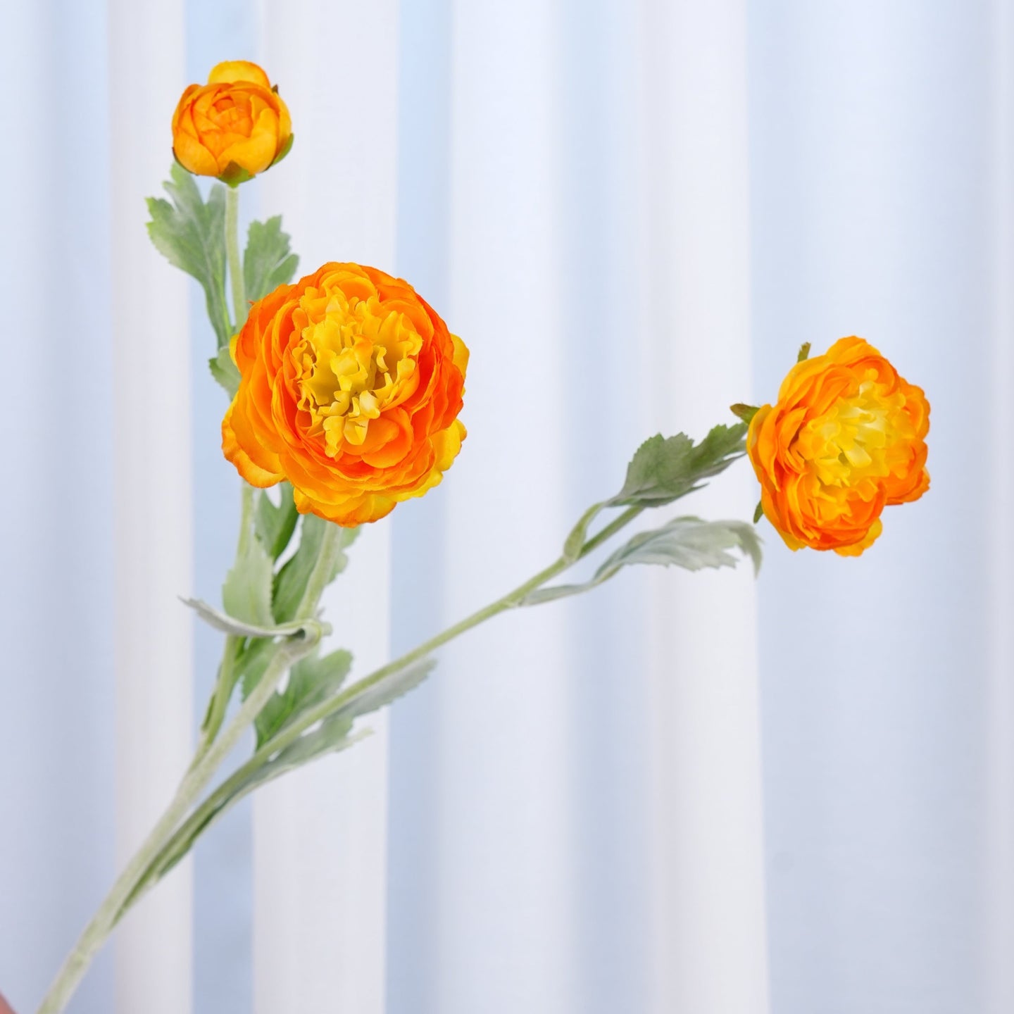 3 Heads Ranunculus Stem - Yellowish Orange