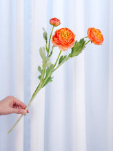 Load image into Gallery viewer, 3 Heads Ranunculus Stem - Orange
