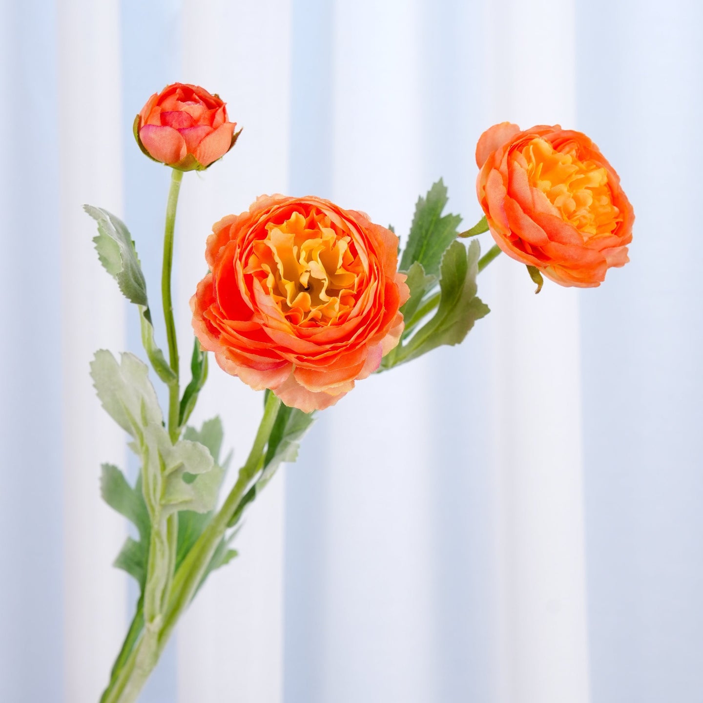 3 Heads Ranunculus Stem - Orange