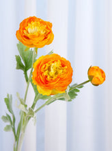 Load image into Gallery viewer, 3 Heads Ranunculus Stem - Yellowish Orange
