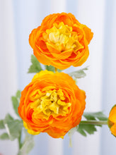 Load image into Gallery viewer, 3 Heads Ranunculus Stem - Yellowish Orange
