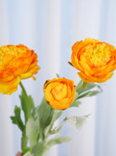 Load image into Gallery viewer, 3 Heads Ranunculus Stem - Yellowish Orange
