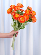 Load image into Gallery viewer, 3 Heads Ranunculus Stem - Orange
