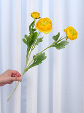 Load image into Gallery viewer, 3 Heads Ranunculus Stem - Yellow
