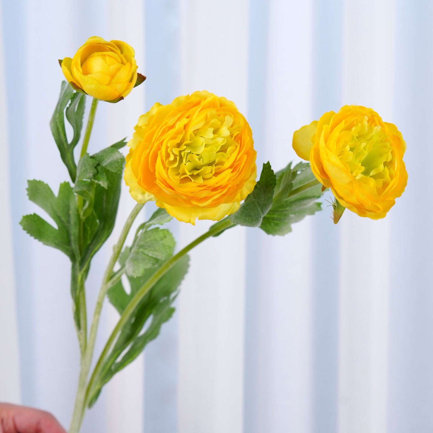 3 Heads Ranunculus Stem - Yellow