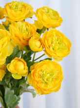 Load image into Gallery viewer, 3 Heads Ranunculus Stem - Yellow
