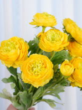 Load image into Gallery viewer, 3 Heads Ranunculus Stem - Yellow
