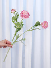 Load image into Gallery viewer, 3 Heads Ranunculus Stem - Pink
